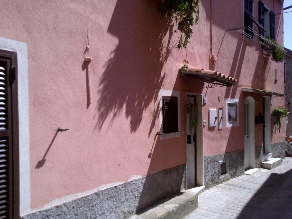 Risorgimento Apartment Cipressa Extérieur photo